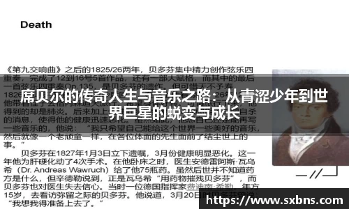 席贝尔的传奇人生与音乐之路：从青涩少年到世界巨星的蜕变与成长