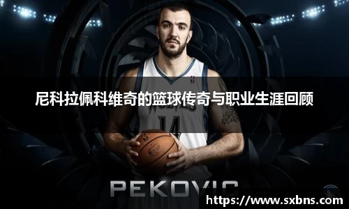 尼科拉佩科维奇的篮球传奇与职业生涯回顾